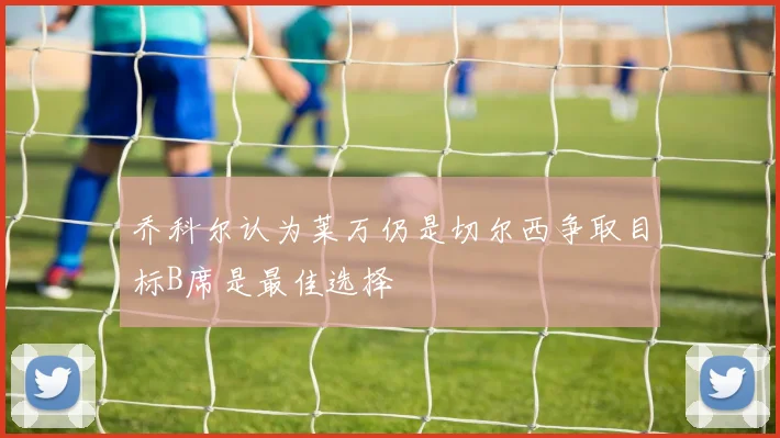 乔科尔认为莱万仍是切尔西争取目标B席是最佳选择